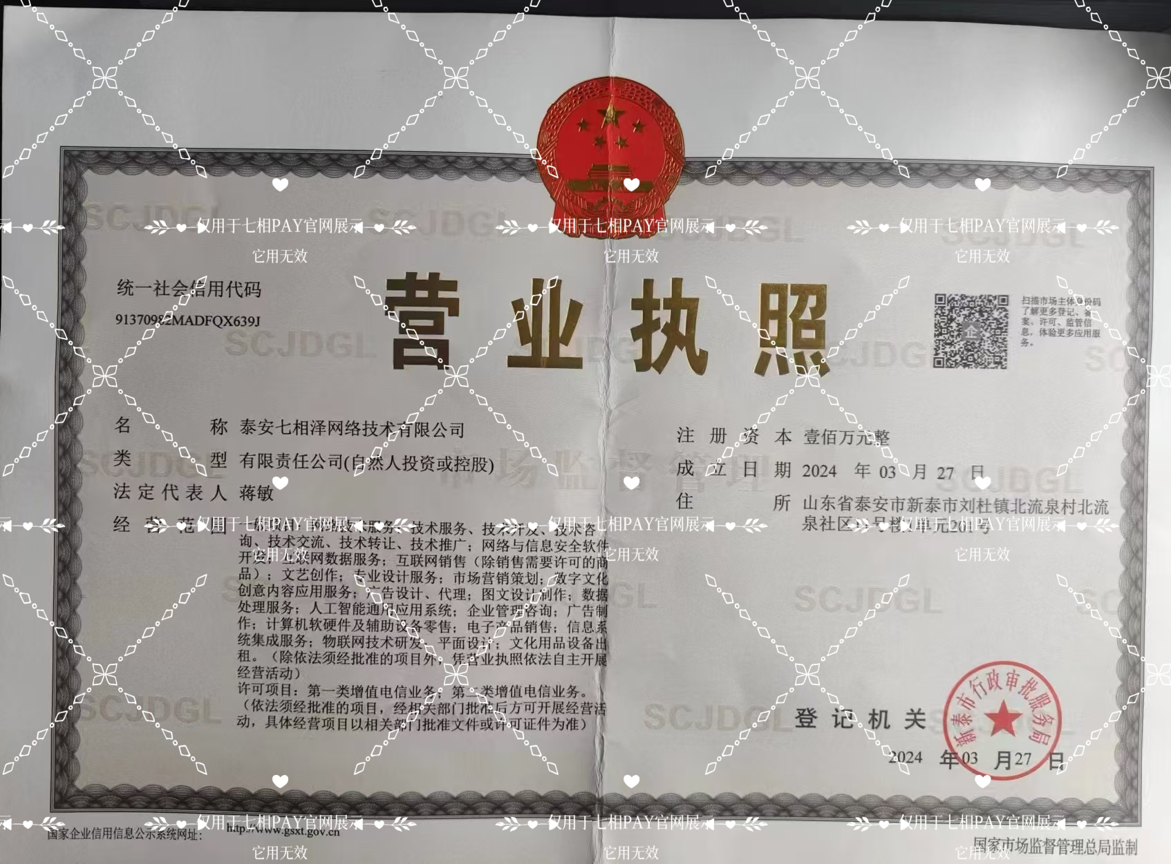 泰安七相泽网络技术有限公司营业执照
